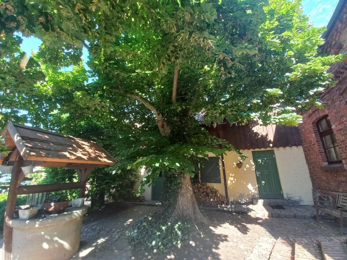 קמיאן פומורסקי Avalon Polchowo מראה חיצוני תמונה
